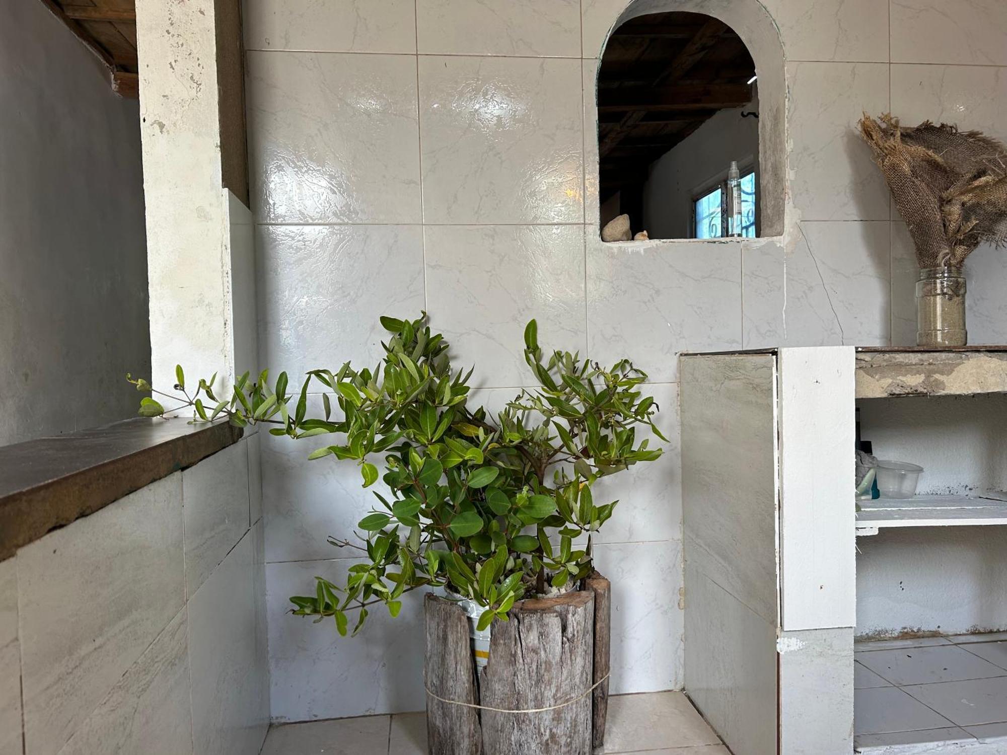 Сasa de vacaciones Ecohostal And Ecofit Completo01 Cartagena